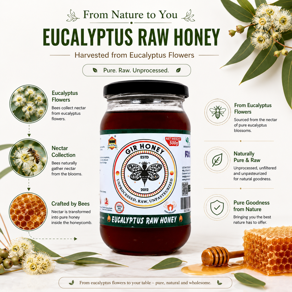 GIR HONEY Eucalyptus Organic Raw Honey | NMR Tested 100% Raw & Pure Honey | Unprocessed, Unpasteurized, Unheated & Unadulterated | 500gm Jar
